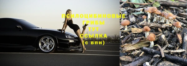 амф Касимов