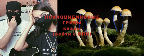 амф Касимов