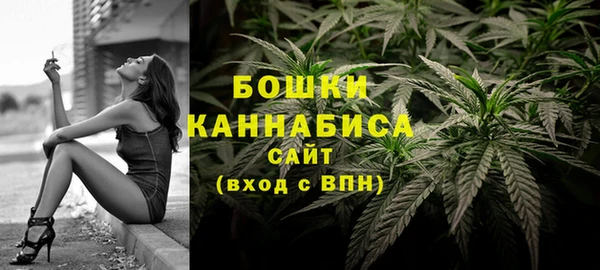 амф Касимов