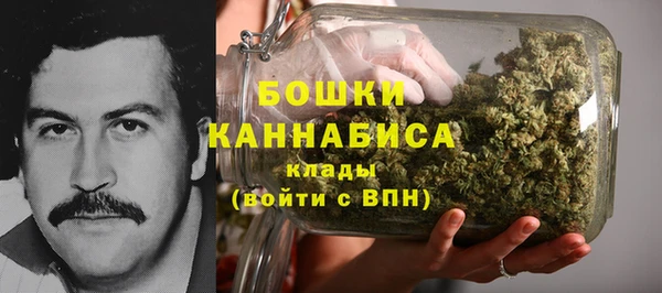 амф Касимов
