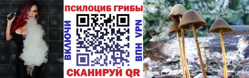 Галлюциногенные грибы мухоморы  Купить закладки  Чёрмоз 